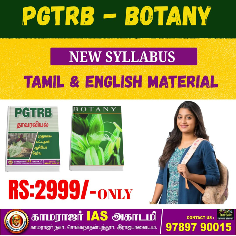 Untitled design (10)